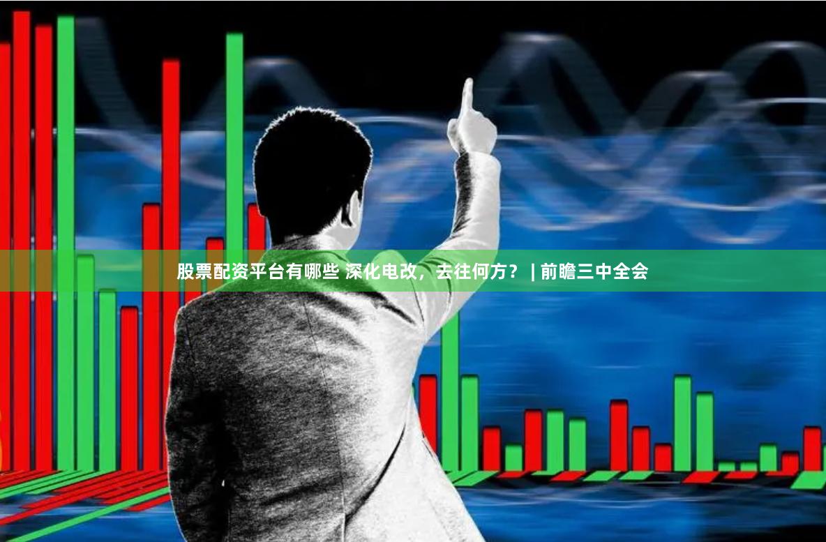 股票配资平台有哪些 深化电改，去往何方？ | 前瞻三中全会